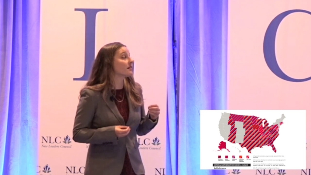 Amy Handler - Nlc Spark! Talk - The Scarlet Letter