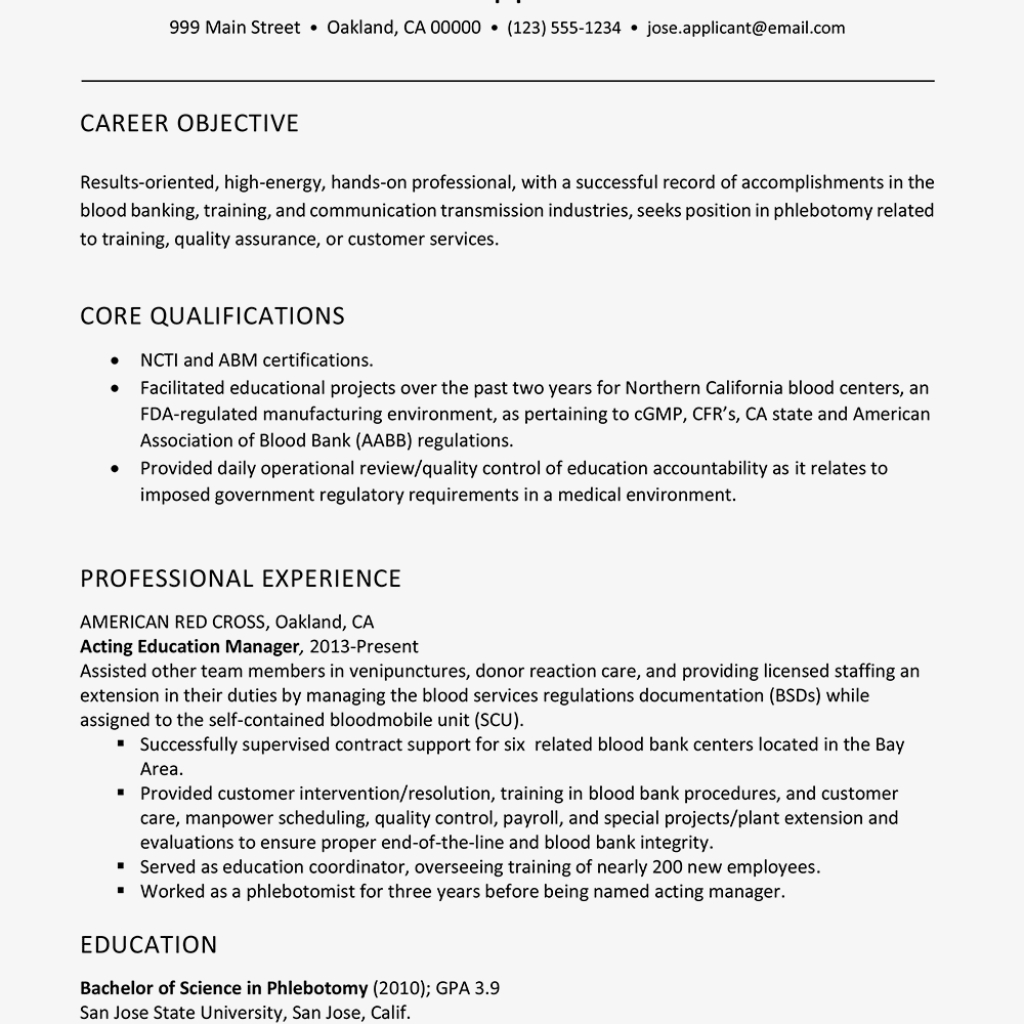 Combination Resume Template And Example