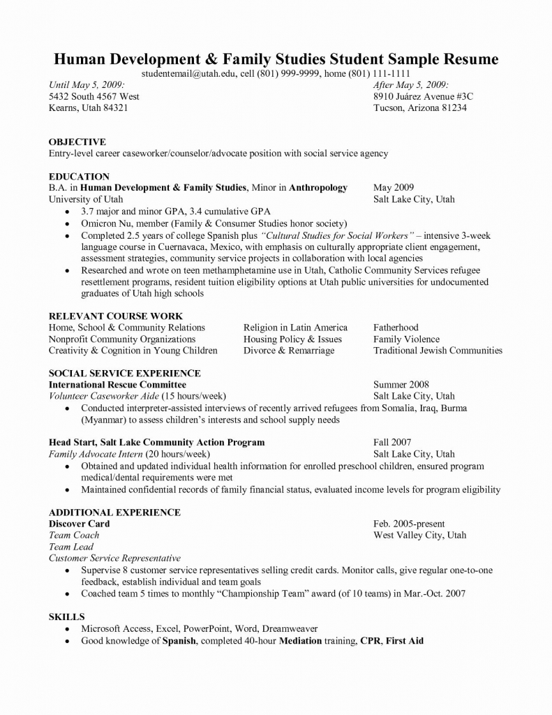 Customer Service Resume Objective Examples - Best Resume Template