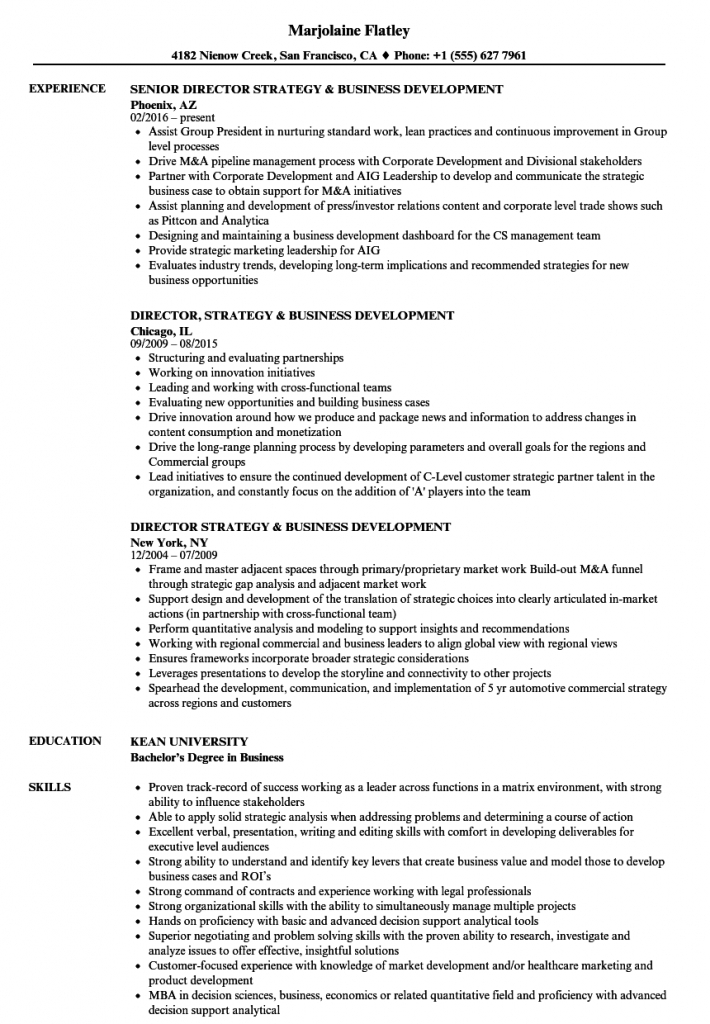 Director, Strategy &amp; Business Development Resume Samples | Velvet Jobs