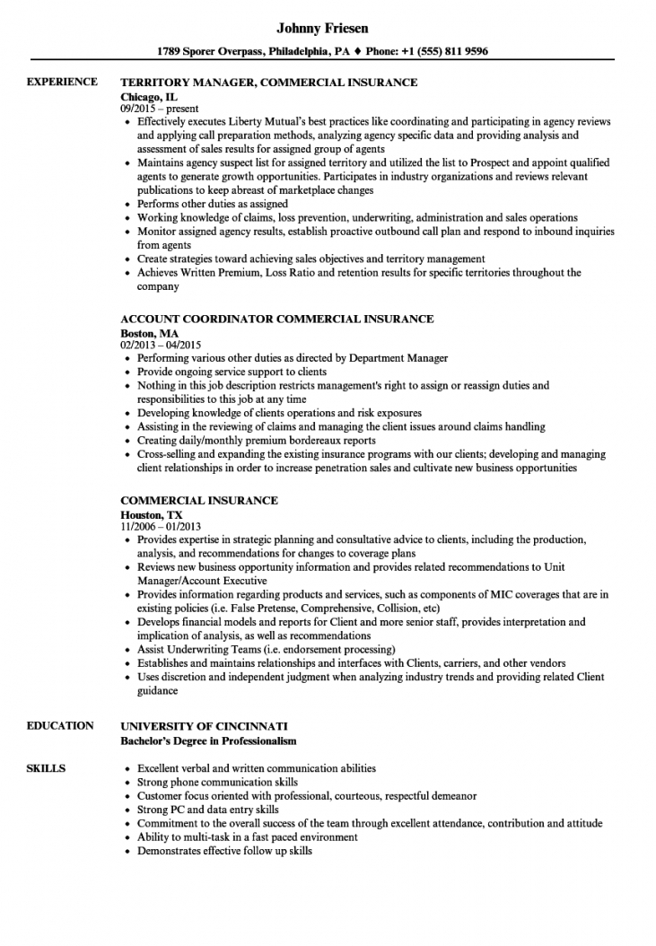 Insurance Resume Example