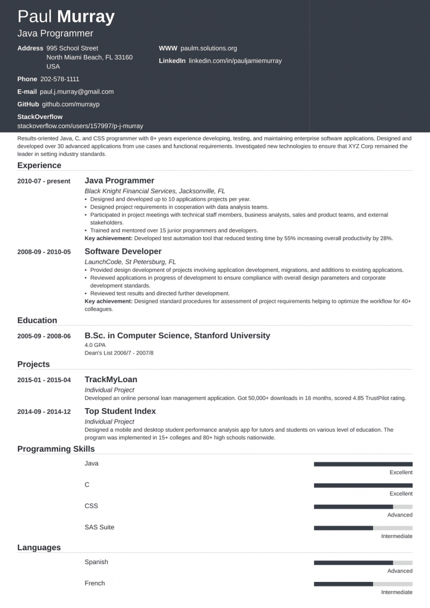 Programmer Resume Examples