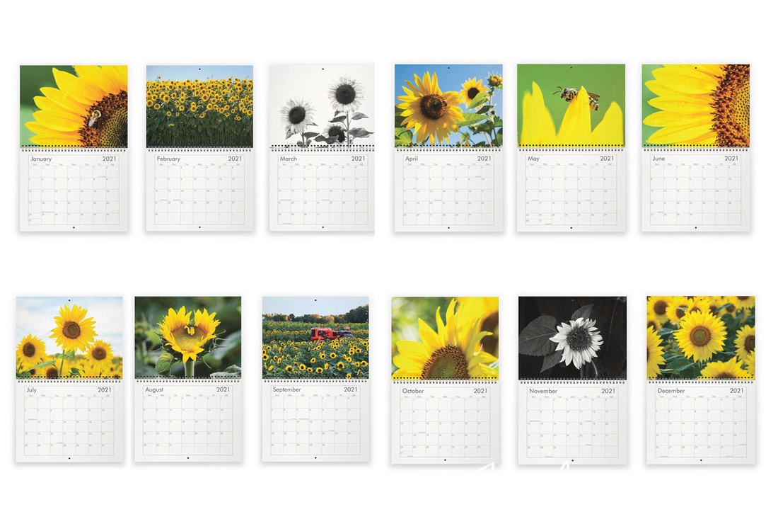 Sunflower Calendar 2021 Printable