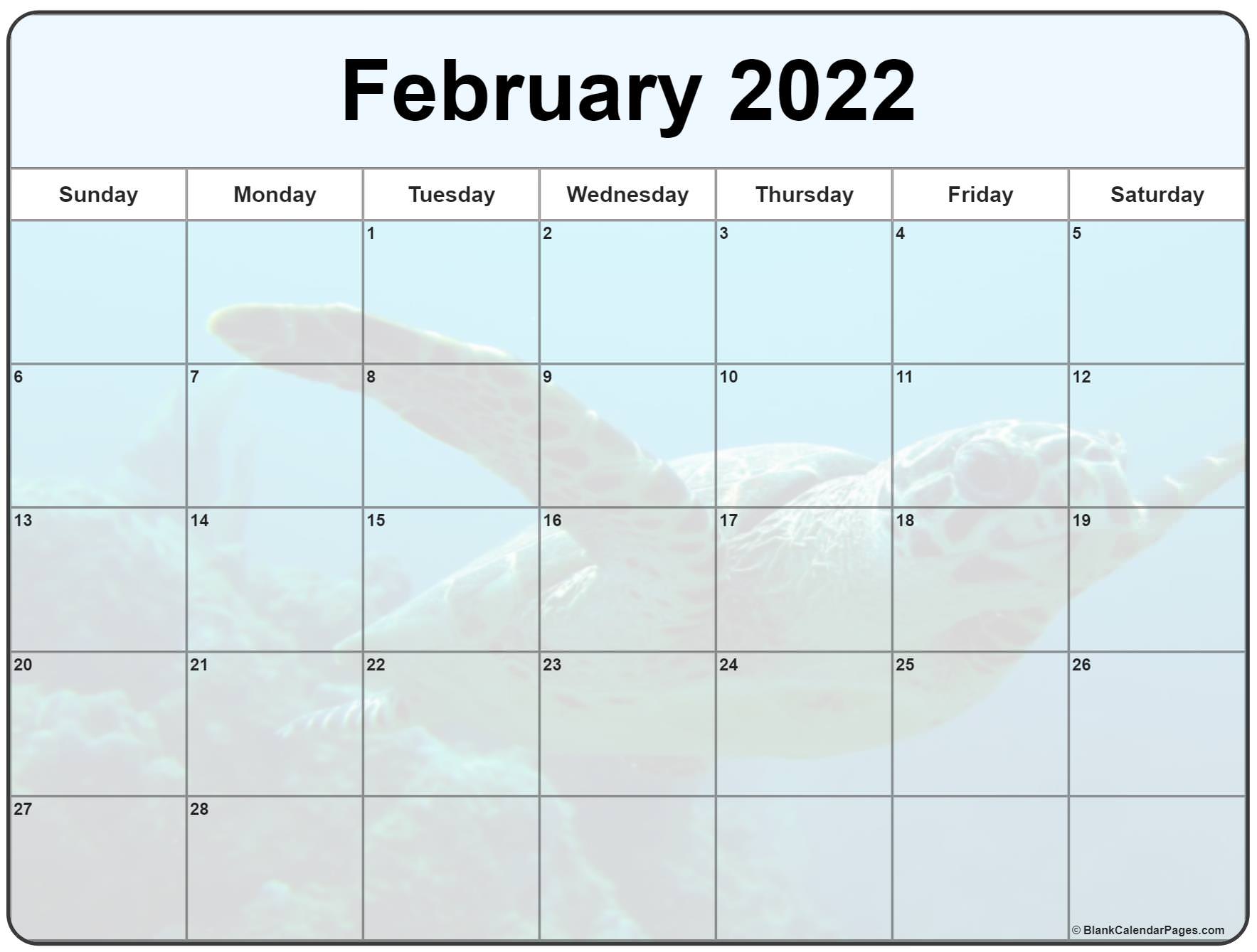February 2022 Blank Printable Calendar