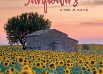 Sunflower Calendar 2023 Printable