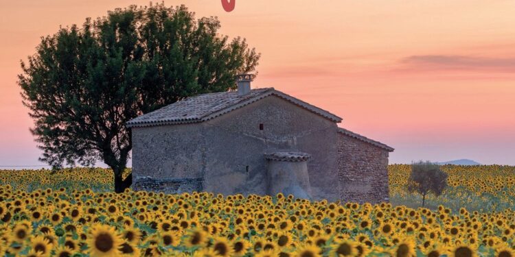 Sunflower Calendar 2023 Printable