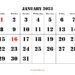 January 2023 Calendar With Holidays Printable