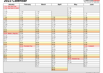 Daily Calendar 2023 Printable