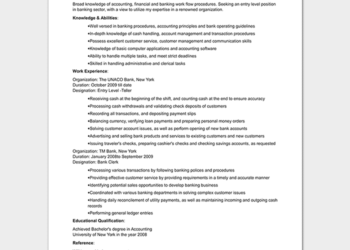 Entry Level Bank Resume