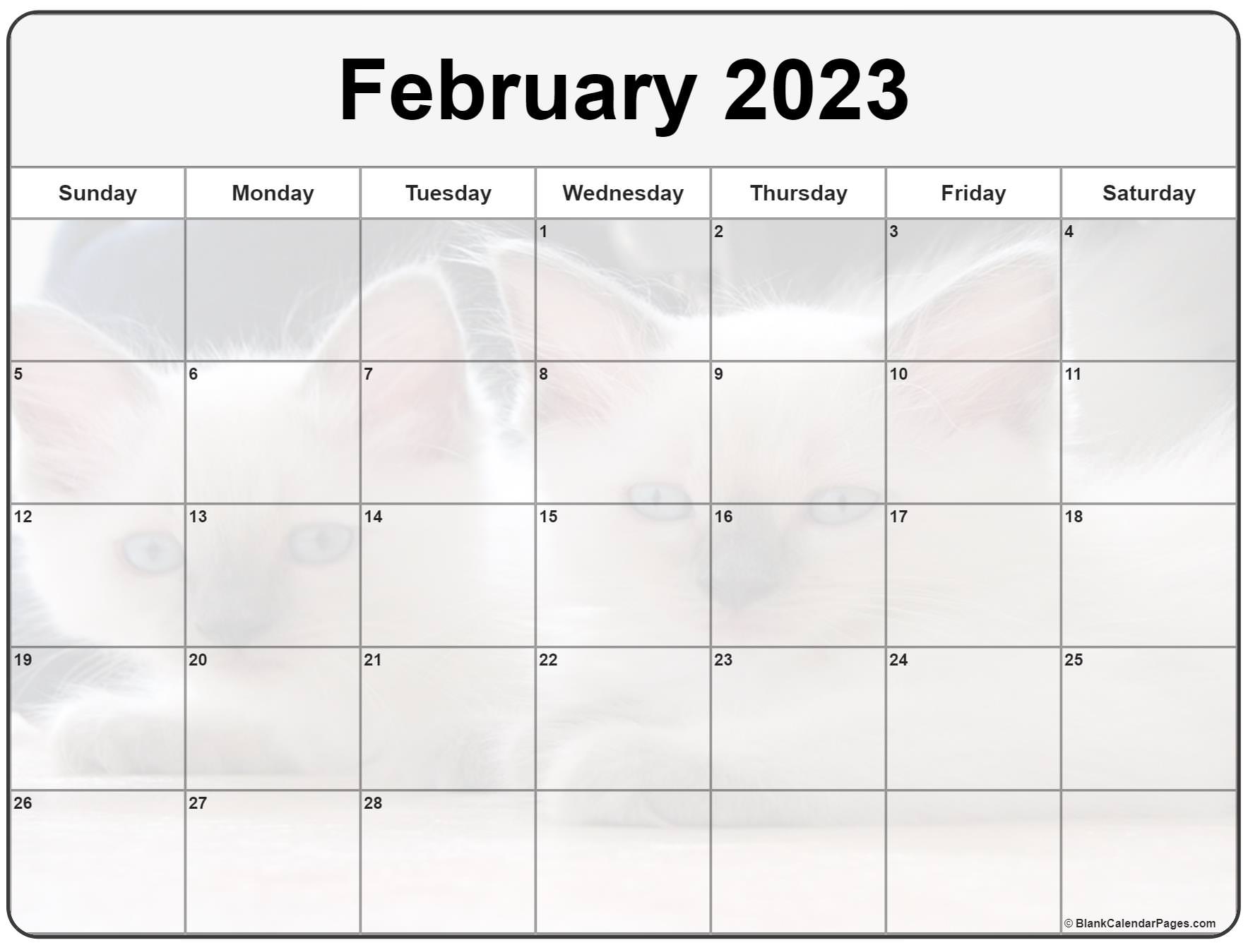 Collection of February 2023 photo calendars with image filters.