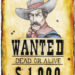Wild West Wanted Poster