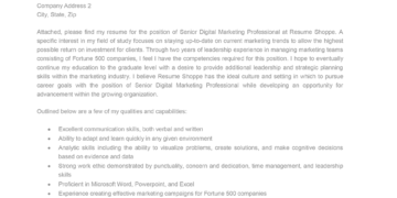 Creative Cover Letter Template