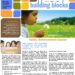Newsletter Templates Word